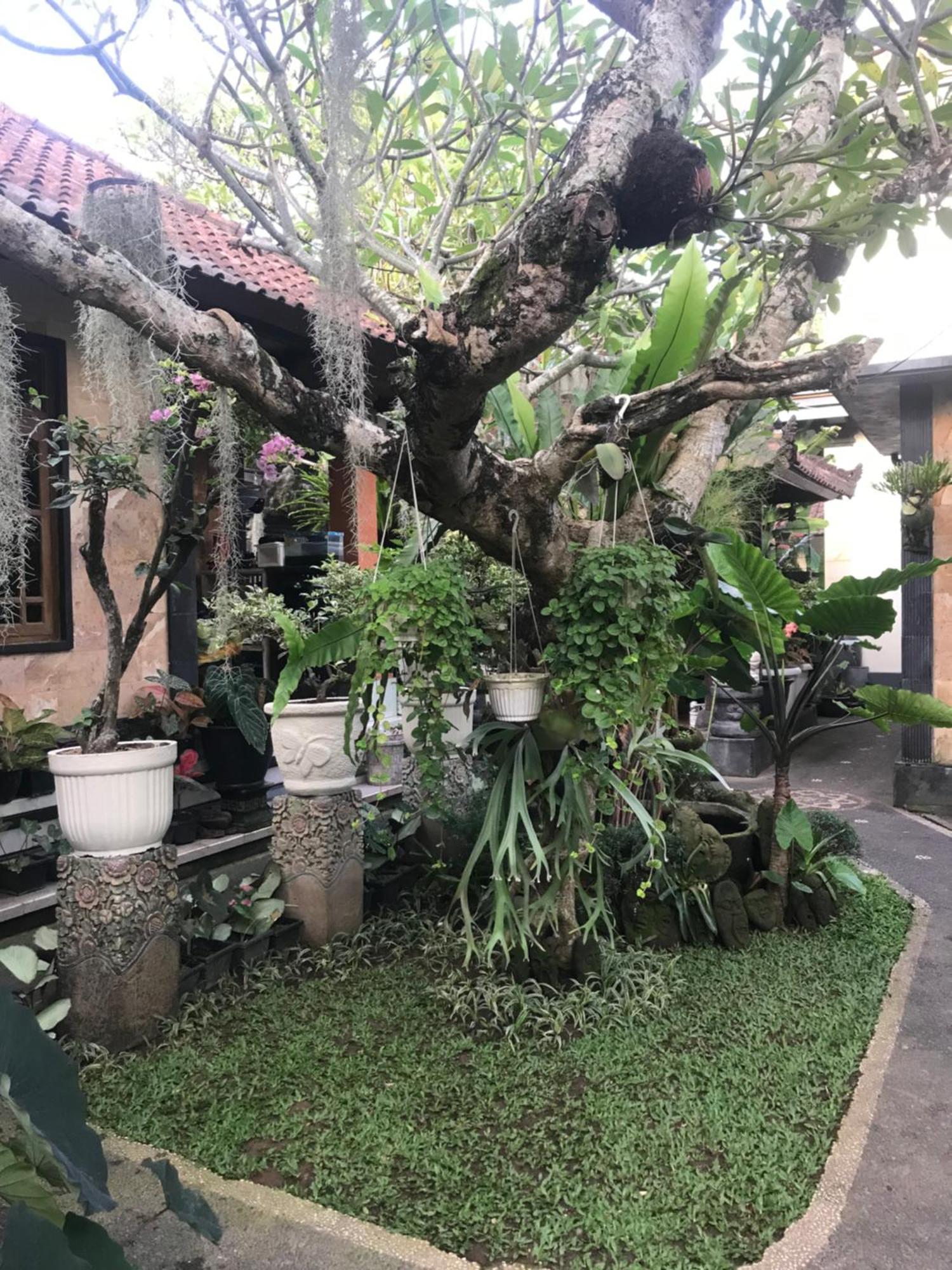 Gus Arditya Homestay อูบุด ภายนอก รูปภาพ