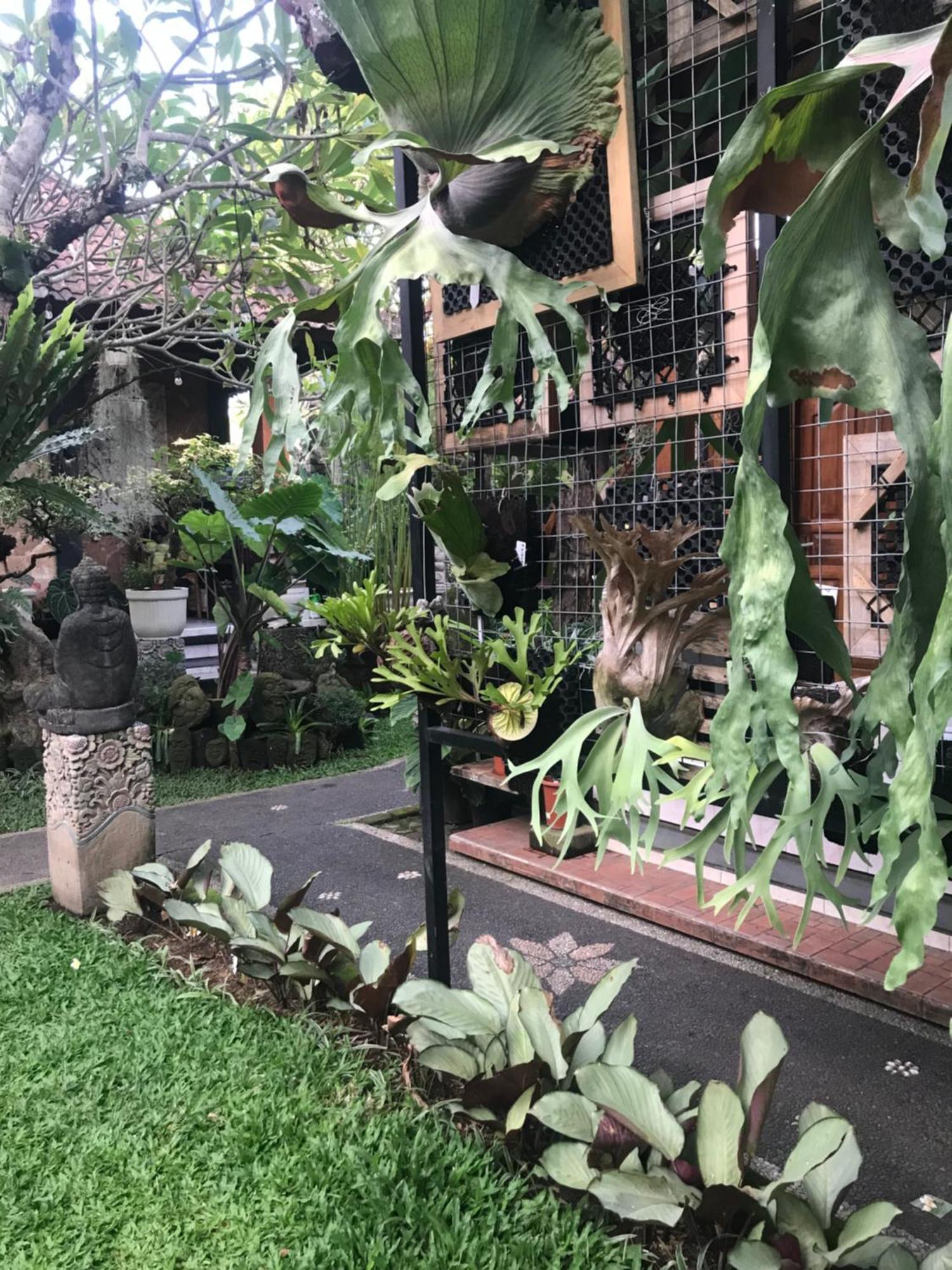 Gus Arditya Homestay อูบุด ภายนอก รูปภาพ