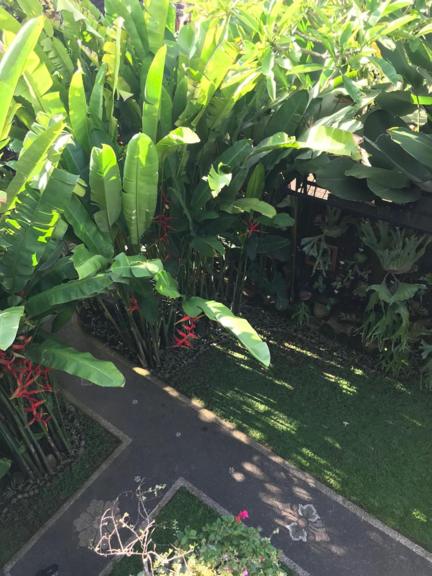 Gus Arditya Homestay อูบุด ภายนอก รูปภาพ