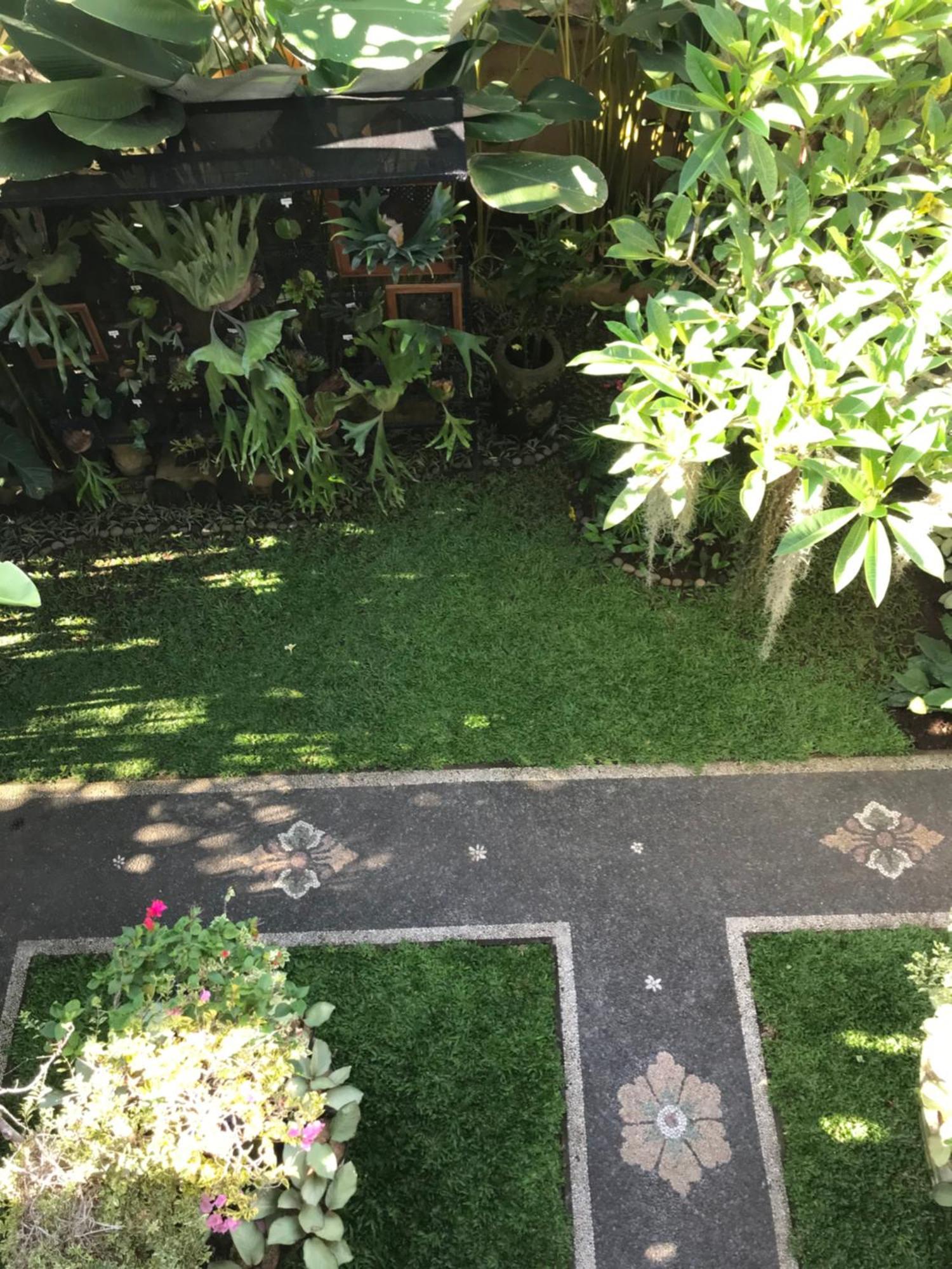 Gus Arditya Homestay อูบุด ภายนอก รูปภาพ