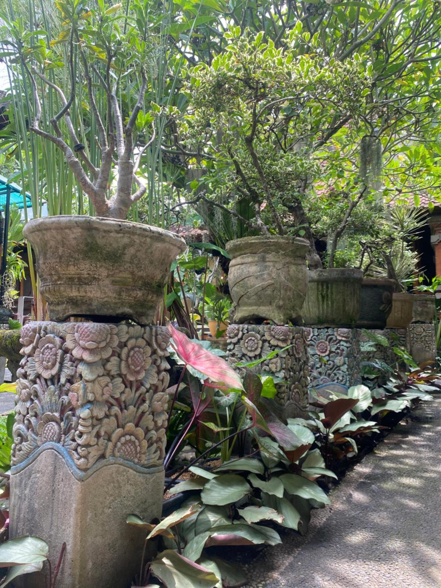 Gus Arditya Homestay อูบุด ภายนอก รูปภาพ