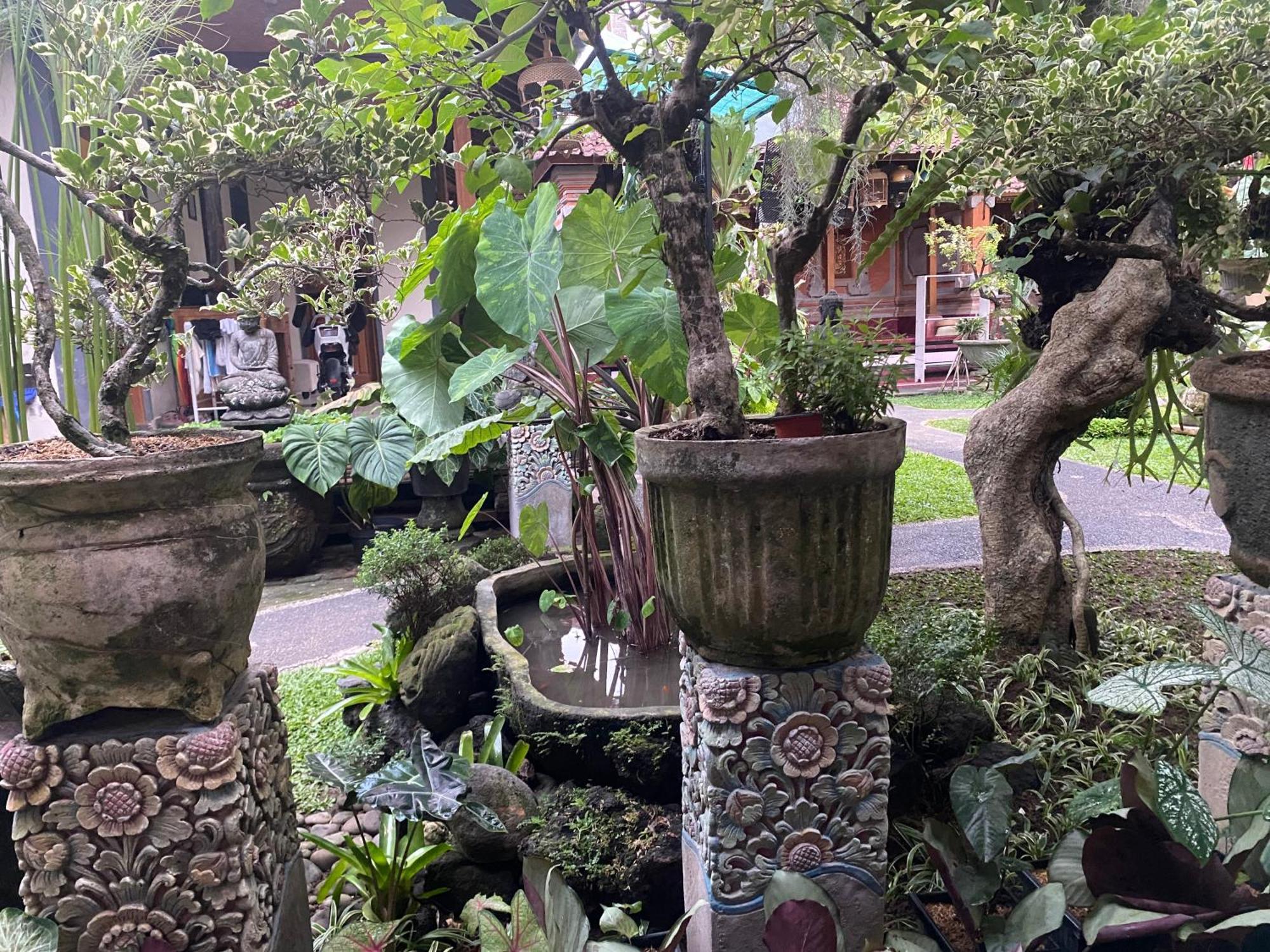 Gus Arditya Homestay อูบุด ภายนอก รูปภาพ