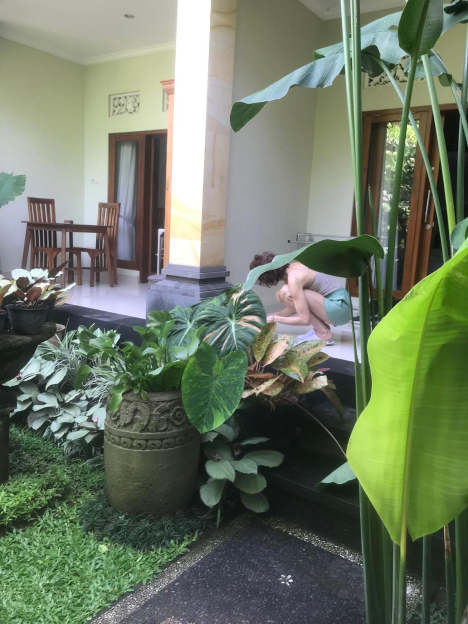 Gus Arditya Homestay อูบุด ภายนอก รูปภาพ